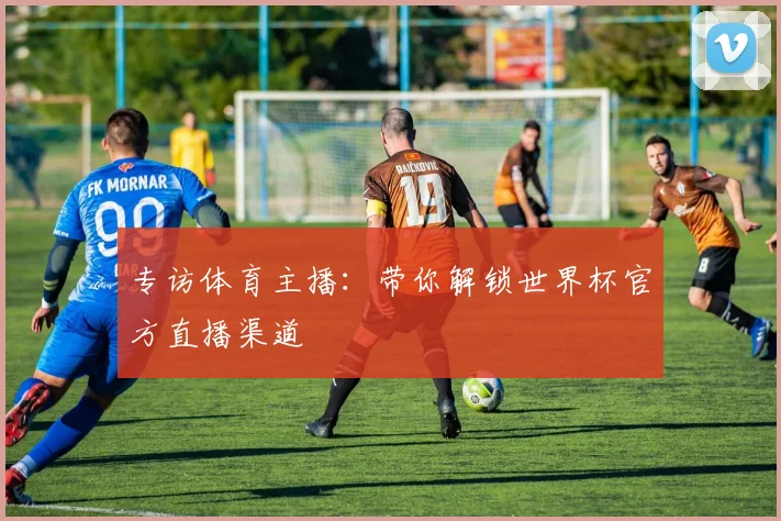 专访体育主播:带你解锁世界杯官方直播渠道