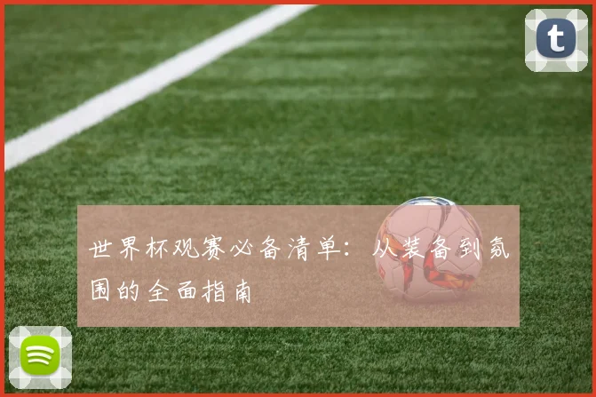 世界杯观赛必备清单:从装备到氛围的全面指南