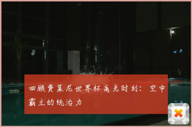 回顾费莱尼世界杯高光时刻：空中霸主的统治力
