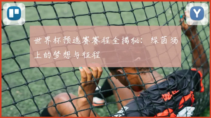 世界杯预选赛赛程全揭秘：绿茵场上的梦想与征程