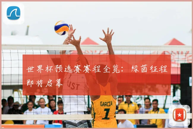 世界杯预选赛赛程全览：绿茵征程即将启幕